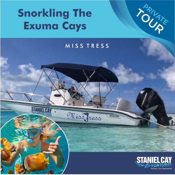 Exploring the Exuma Cays on a Private Tour: Snorkeling The Exuma Cay’s Miss Tress.