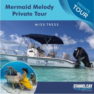 Join us for an unforgettable private tour, Mermaid Melody Miss Tress, in the magical Exuma Cays, Bahamas. Immerse yourself in the stunning underwater world with exhilarating scuba diving in Exuma. Get up close and