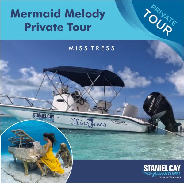 Join us for an unforgettable private tour, Mermaid Melody Miss Tress, in the magical Exuma Cays, Bahamas. Immerse yourself in the stunning underwater world with exhilarating scuba diving in Exuma. Get up close and
