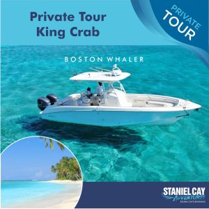 Private tour experiencing King Crab from Great Exuma and whale watching in Boston, with the option for scuba diving in Exuma Cays Bahamas and thrilling Staniel Cay Adventures.