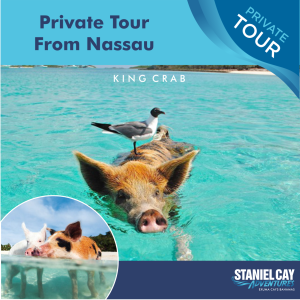 Private tour from nassau.