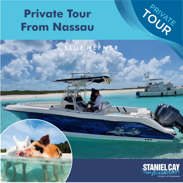 Private Tour from Nassau 5 Passenger Plane - Blue Hefner tour.