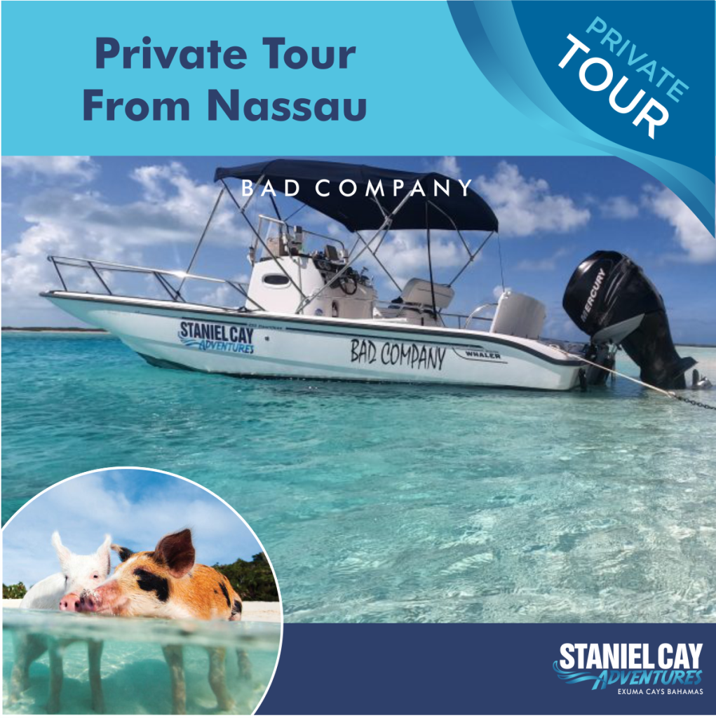 Private Tour from Nassau 9 Passenger Plane - Bad Company - Staniel Cay ...