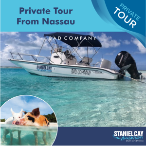 Private Tour: Swimming Pigs from Nassau 5 Passenger Plane Round Trip - DauntlessProduct Name: Private Tour: Swimming Pigs from Nassau 5 Passenger Plane Round Trip - Dauntless