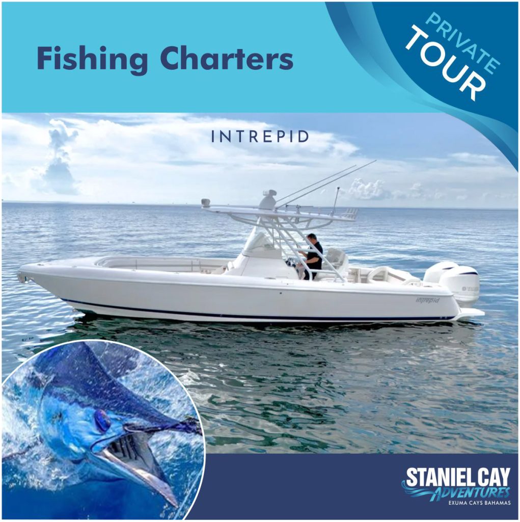 Staniel Cay, Exuma Bahamas A white Intrepid 327 boat glides on calm ocean waters near Staniel Cay with a person onboard. Inset shows a blue marlin. Text reads "Private Fishing," "Fishing Charters," and "Staniel Cay Adventures. Swimming Pigs Tours, Fishing and more!