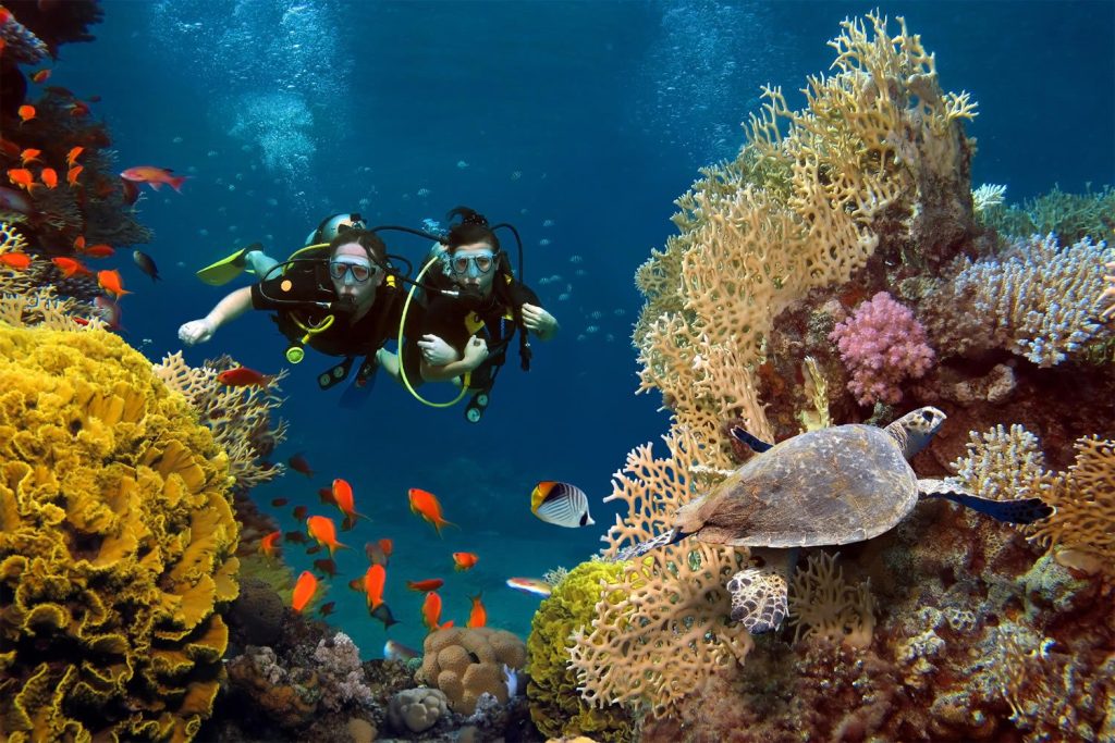 Staniel Cay, Exuma Bahamas Two scuba divers swim among vibrant coral reefs and colorful fish. A sea turtle is visible nearby.