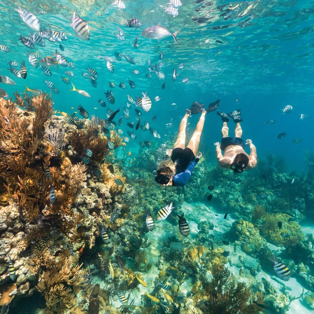 Staniel Cay, Exuma Bahamas Two people snorkel near a coral reef surrounded by colorful fish in clear blue water.