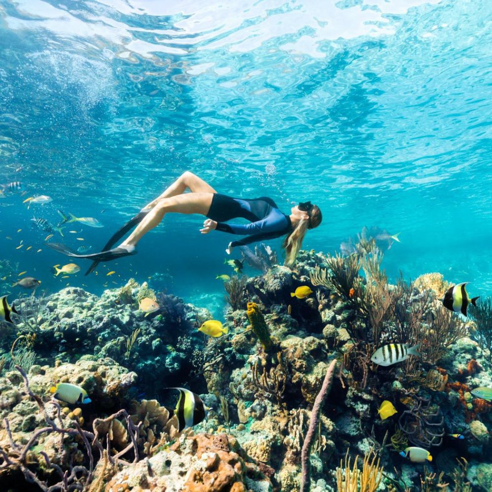 Staniel Cay, Exuma Bahamas A person in a wetsuit snorkels above a vibrant coral reef, surrounded by diverse, colorful fish in clear blue water.