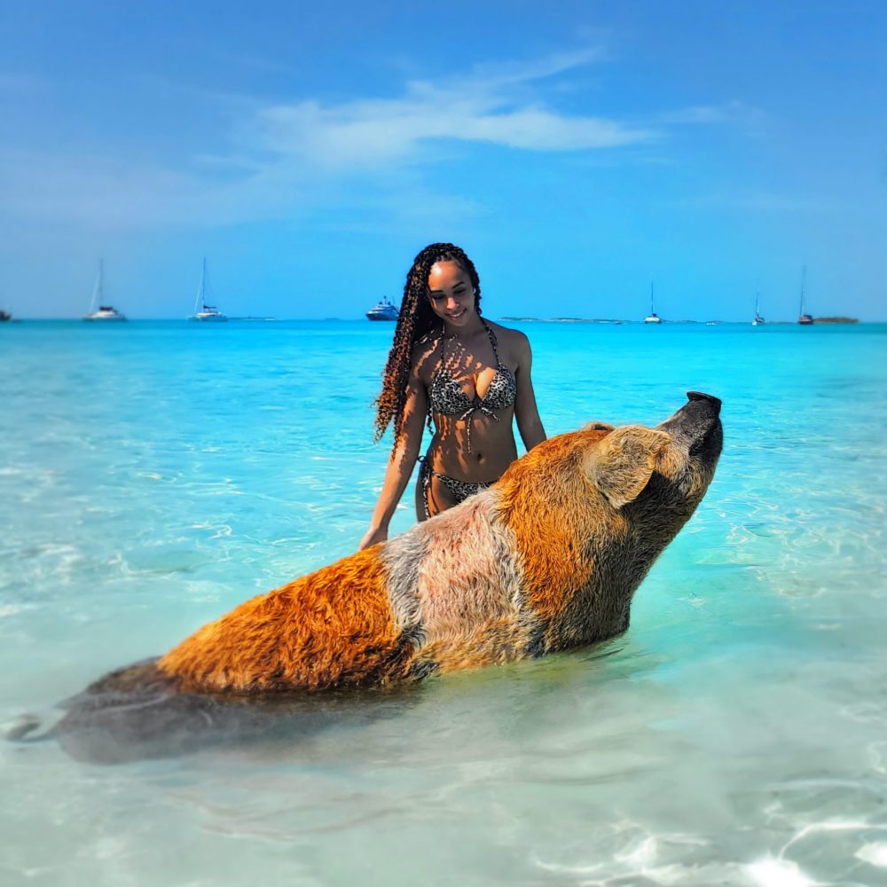 Staniel Cay, Exuma Bahamas A person stands in clear blue water next to a large pig, with boats visible in the background.