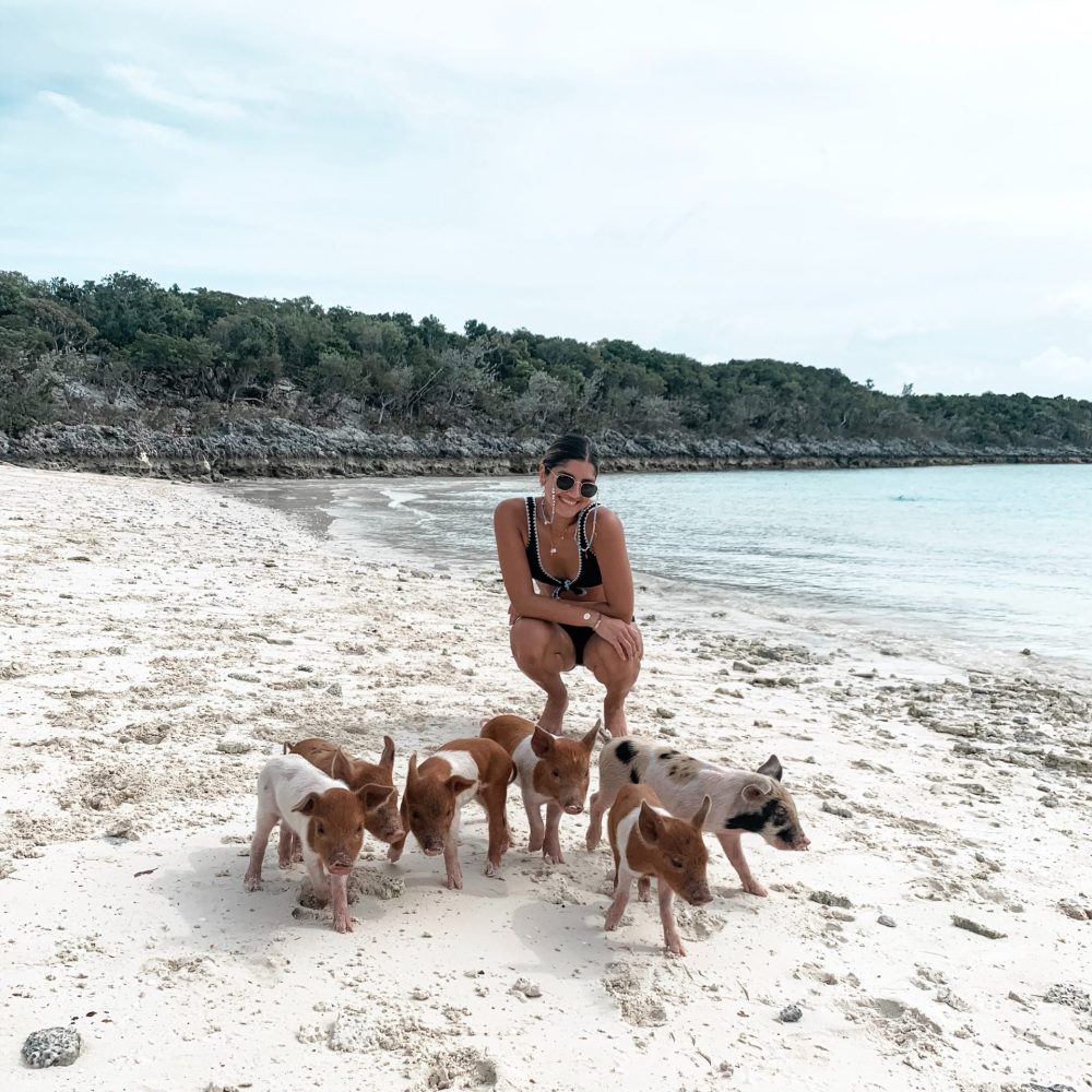 Staniel Cay, Exuma Bahamas Person crouching on a sandy beach near clear water, surrounded by six small pigs. Trees line the background under a cloudy sky.