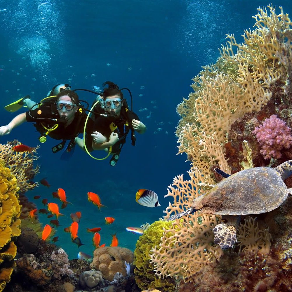 Staniel Cay, Exuma Bahamas Two scuba divers swim among vibrant coral reefs and colorful fish. A sea turtle is visible nearby.