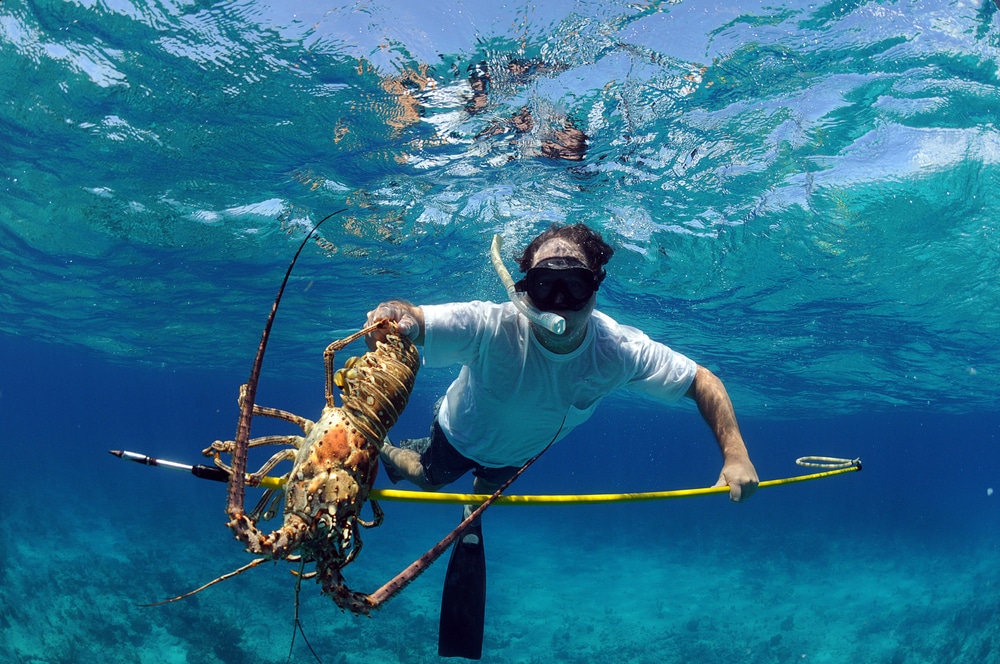 Fishing - Staniel Cay Adventures, Exuma Cays Bahamas